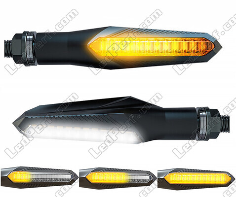 2-in-1 Dynamische LED-Blinker mit integriertem Tagfahrlicht für Aprilia Caponord 1000 ETV