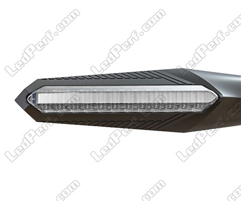 Frontansicht Dynamische LED-Blinker + Bremslichter für Aprilia Caponord 1000 ETV