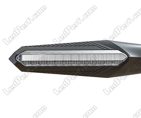 Vorderansicht der Dynamische LED-Blinker mit Tagfahrlicht für Aprilia RS 125 (1999 - 2005)