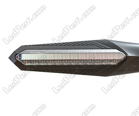 Clignotant Séquentiel à LED pour BMW Motorrad R Nine T Urban GS vue de devant.